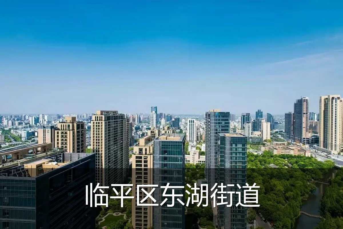 临平区东湖街道