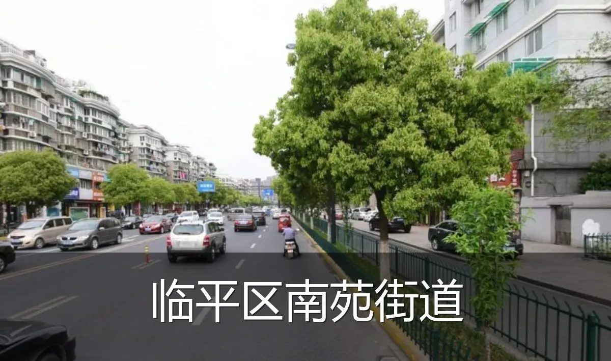 临平区南苑街道