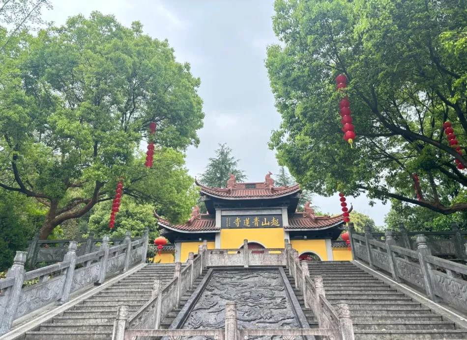 临平区临平区移动宽带